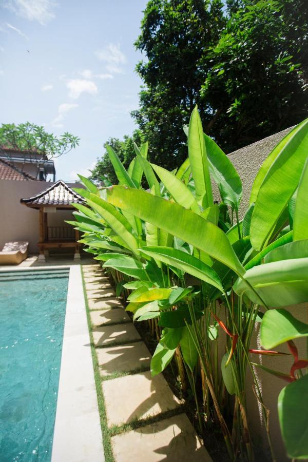 Bed and Breakfast Donguri House Bali Джимбаран Екстер'єр фото